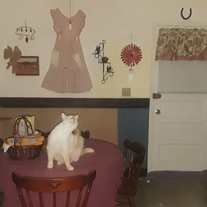 Meet your Posher, Vickey